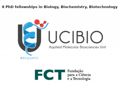 8 phd fellowships porto