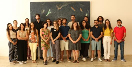 Biomolecular Engineering