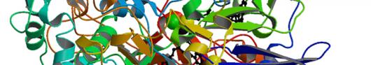 Structural and Molecular Biology
